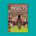 A Comprehensive Guide to Insects of Britain & Ireland new and revised edition