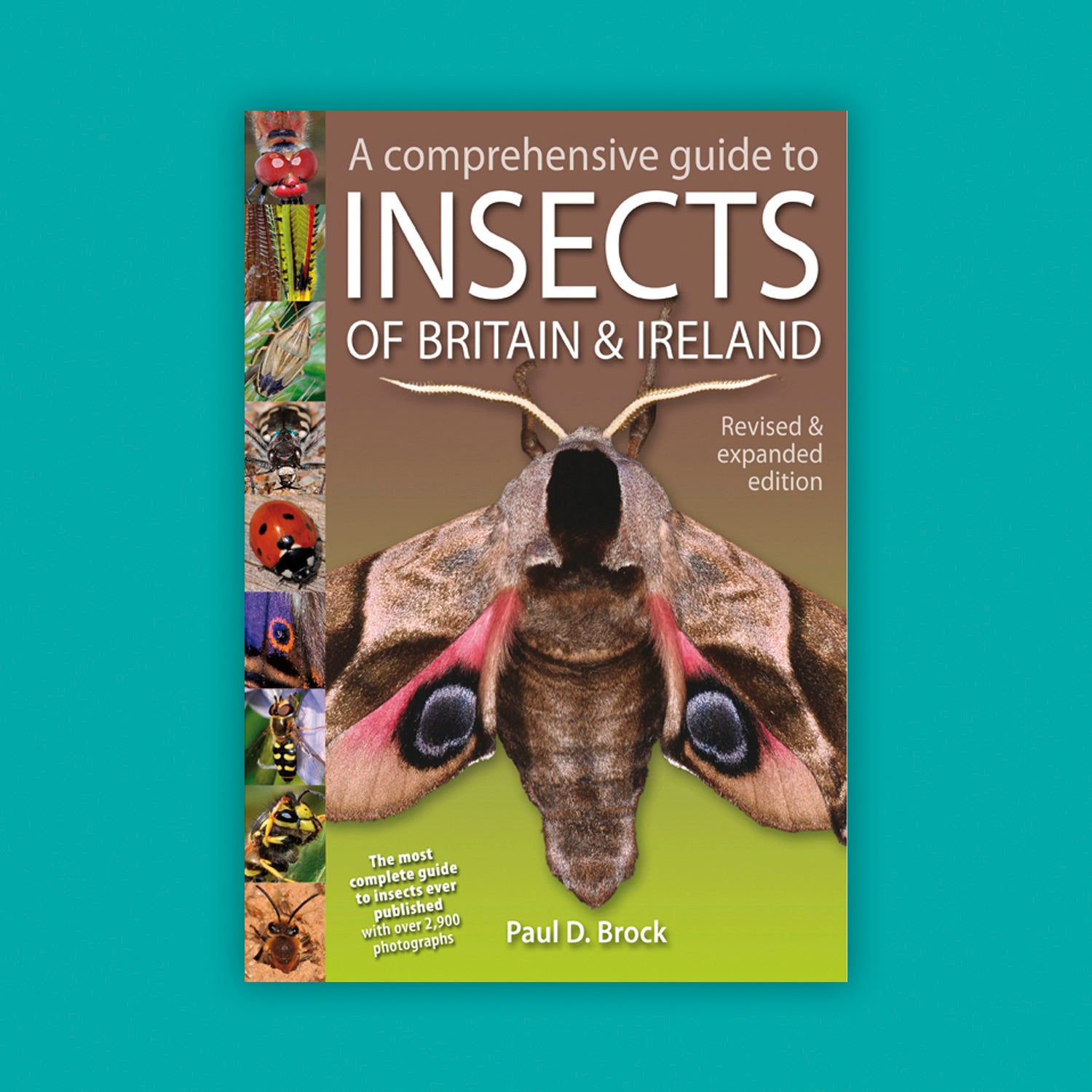 A Comprehensive Guide to Insects of Britain & Ireland new and revised edition