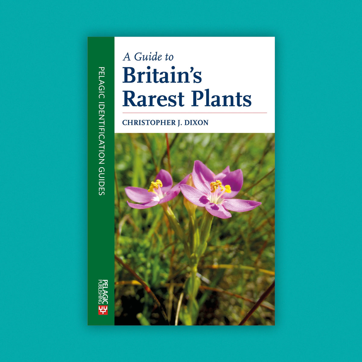 A Guide to Britain’s Rarest Plants