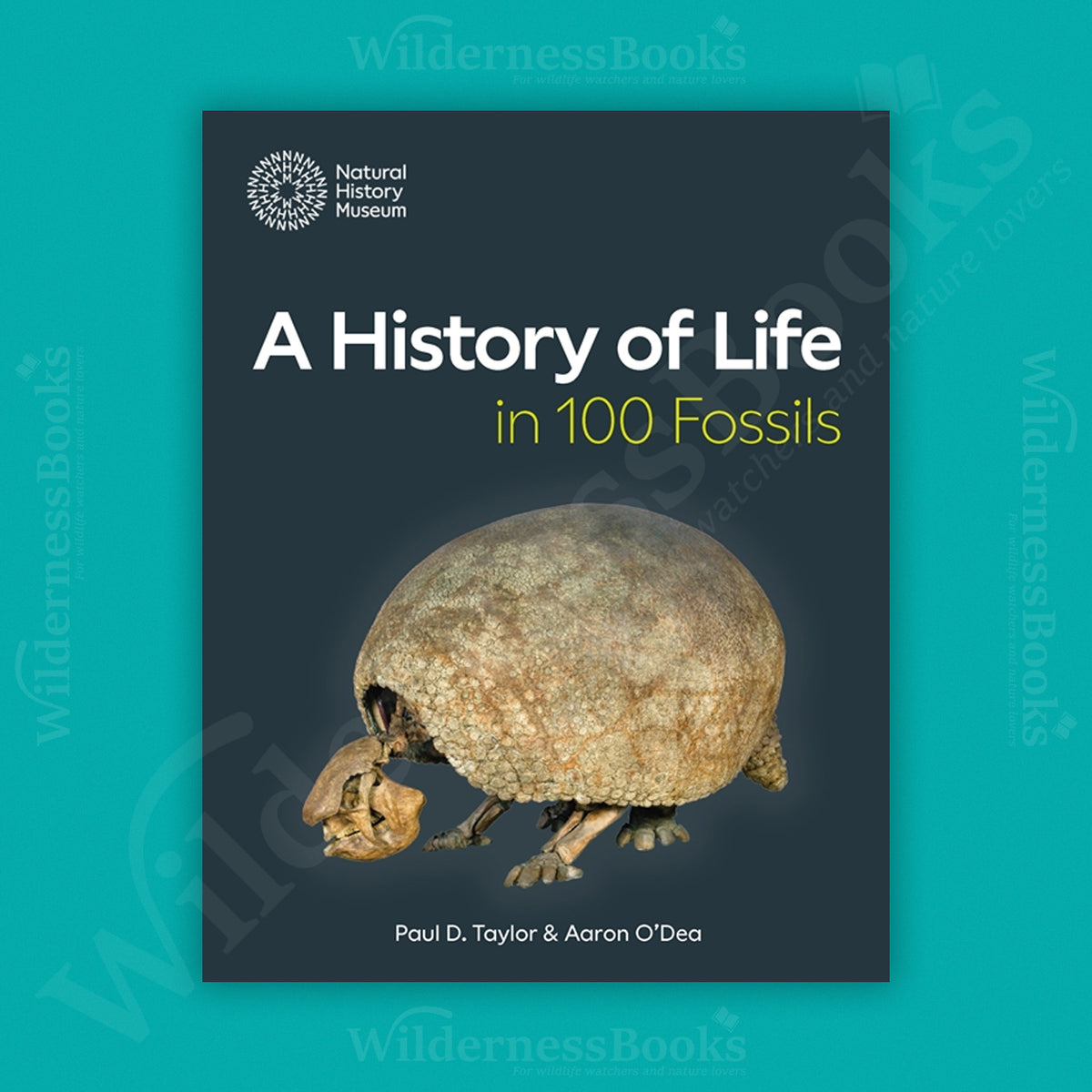 A History of Life in 100 Fossils