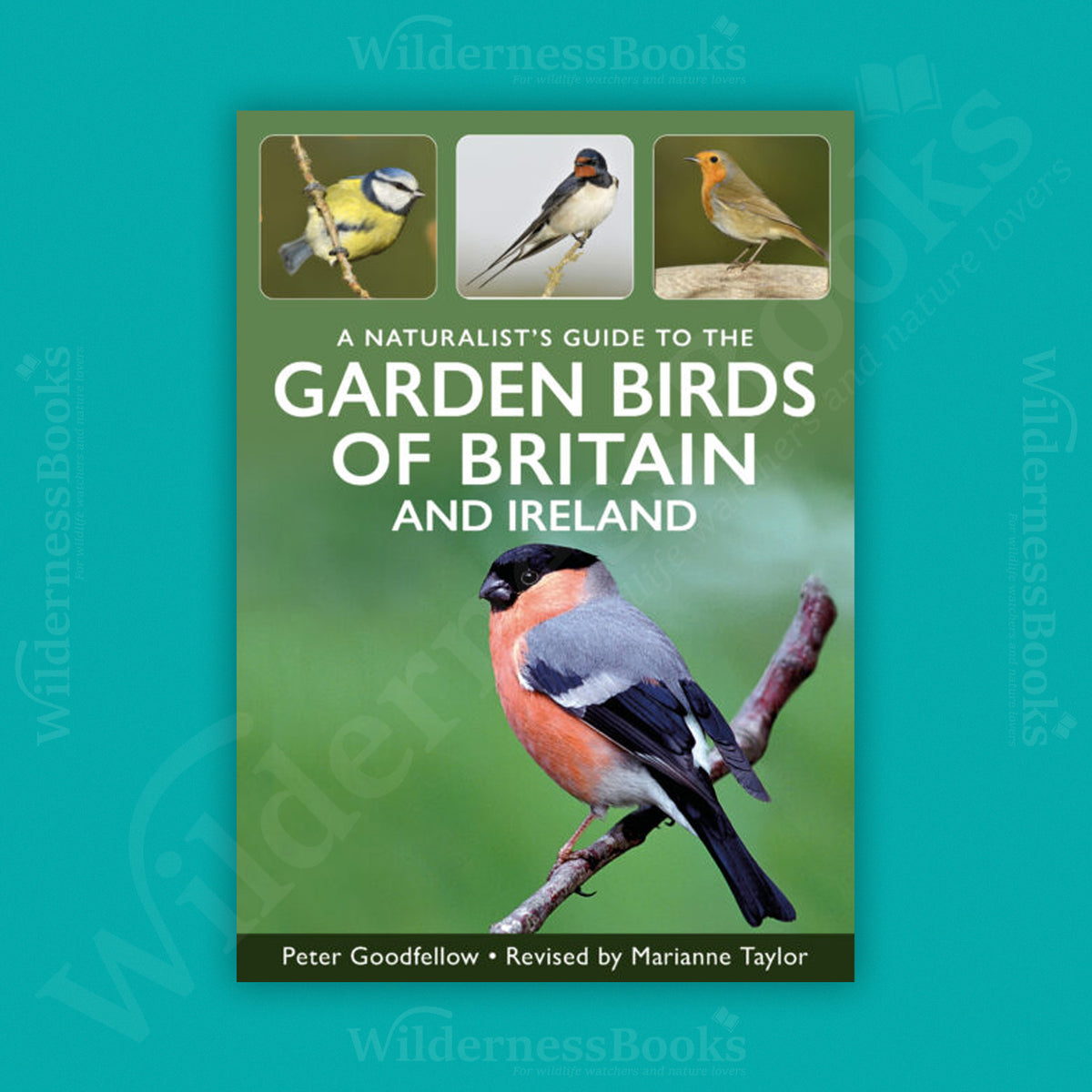 A Naturalist’s Guide to the Garden Birds of the British Isles