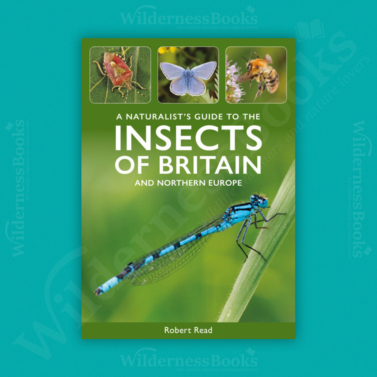 A Naturalist’s Guide to the Insects of Britain & Northern Europe
