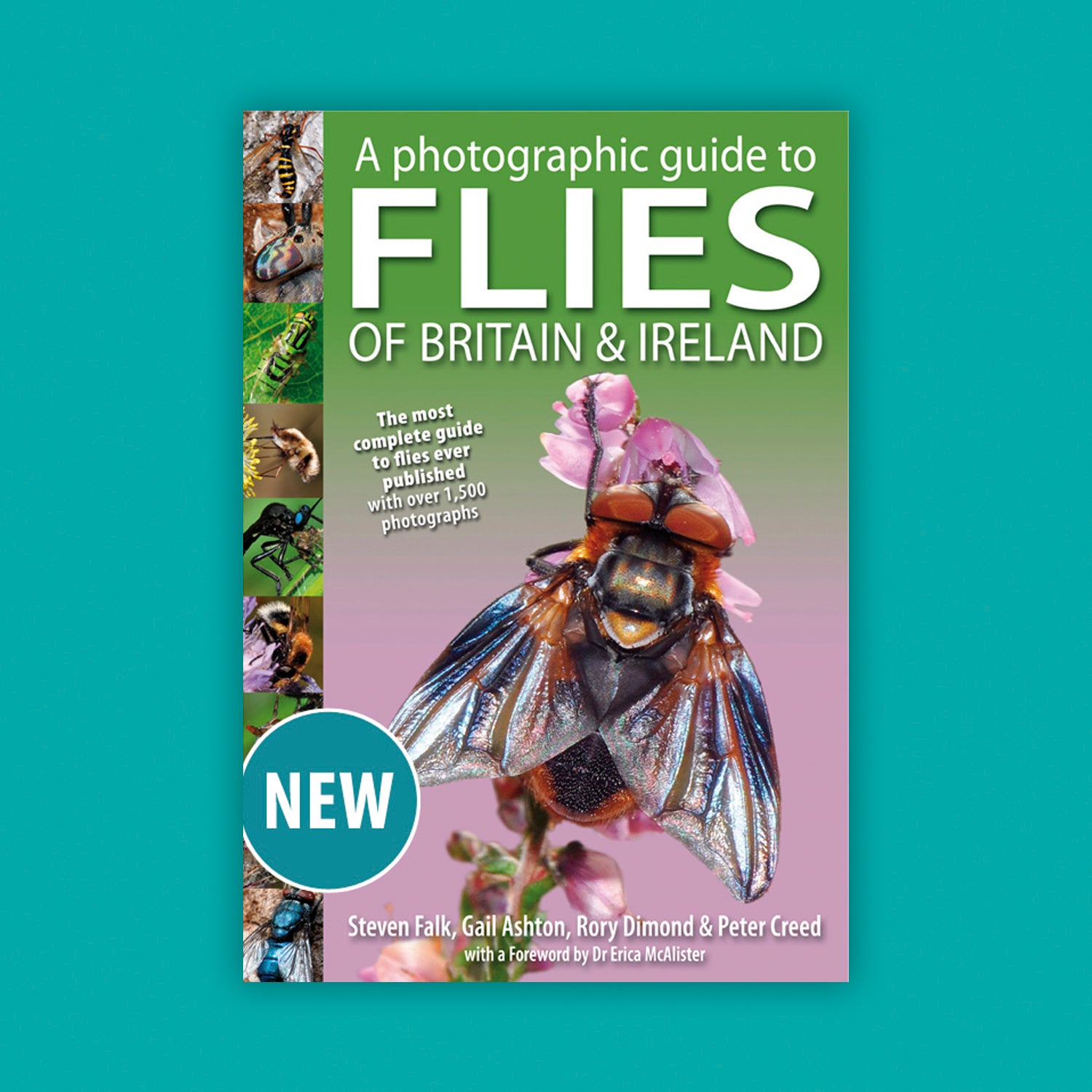 A Photographic Guide to Flies of Britain and Ireland