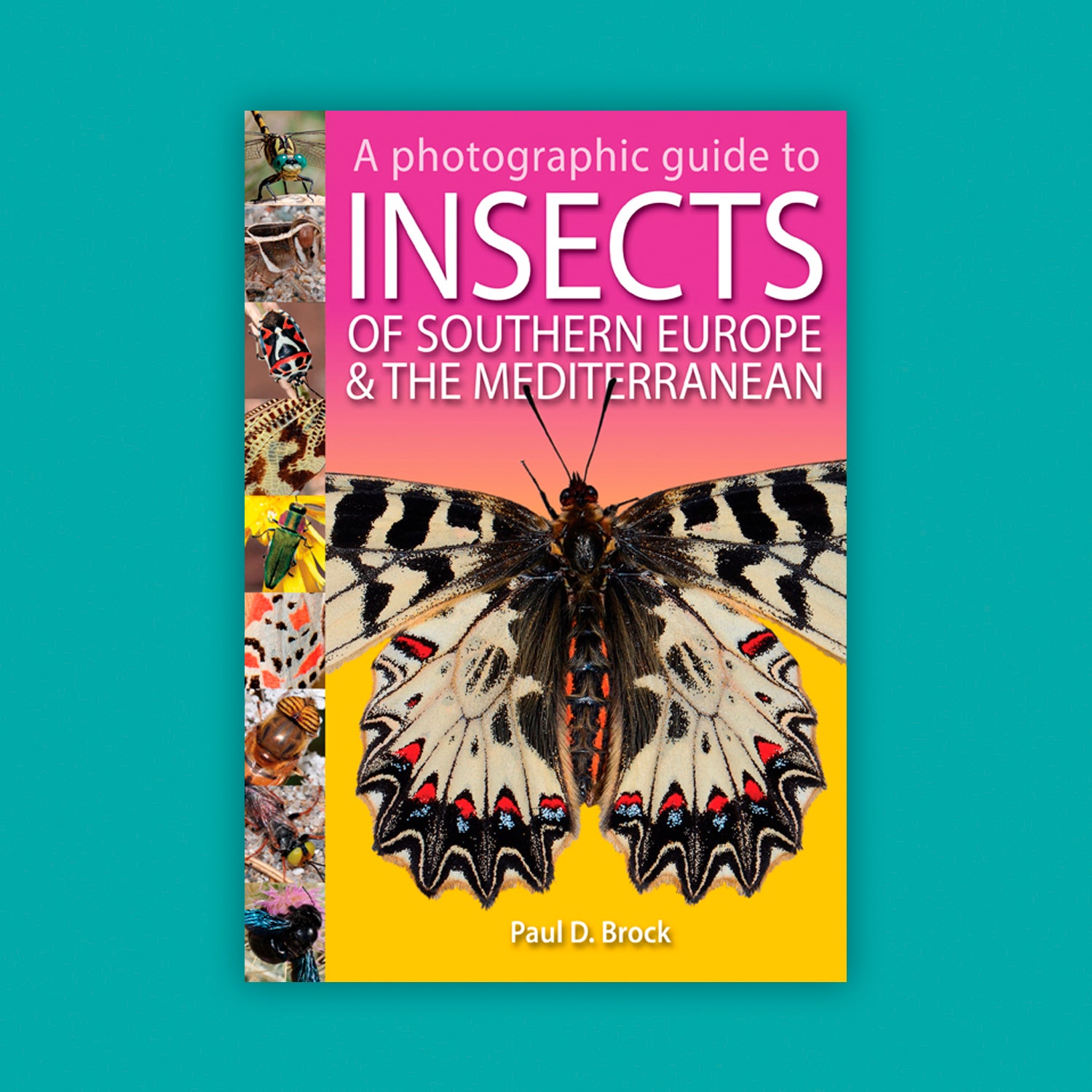 A Photographic Guide to Insects of Southern Europe and the Mediterranean