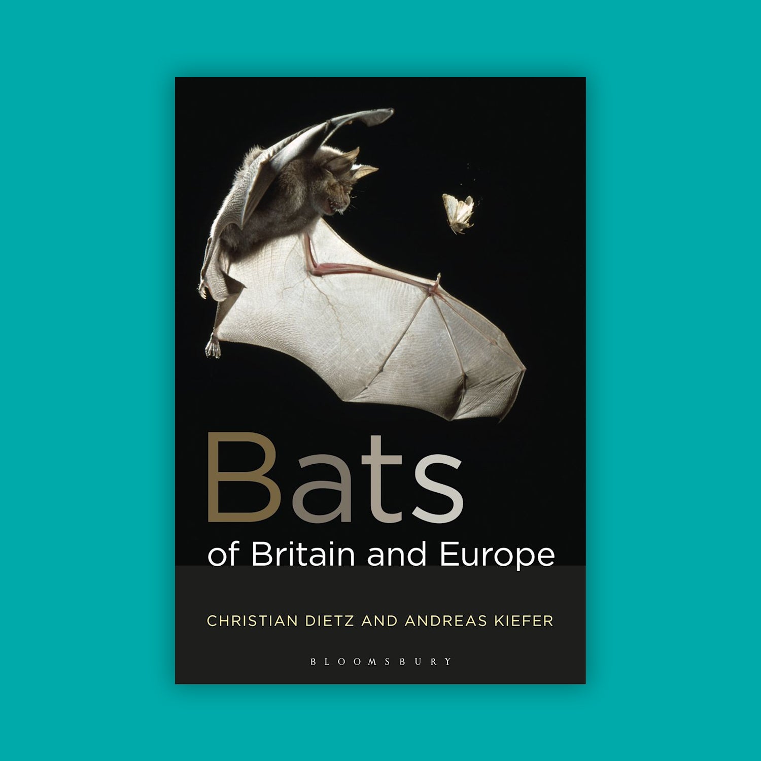 Bats of Britain and Europe (1st Ed)