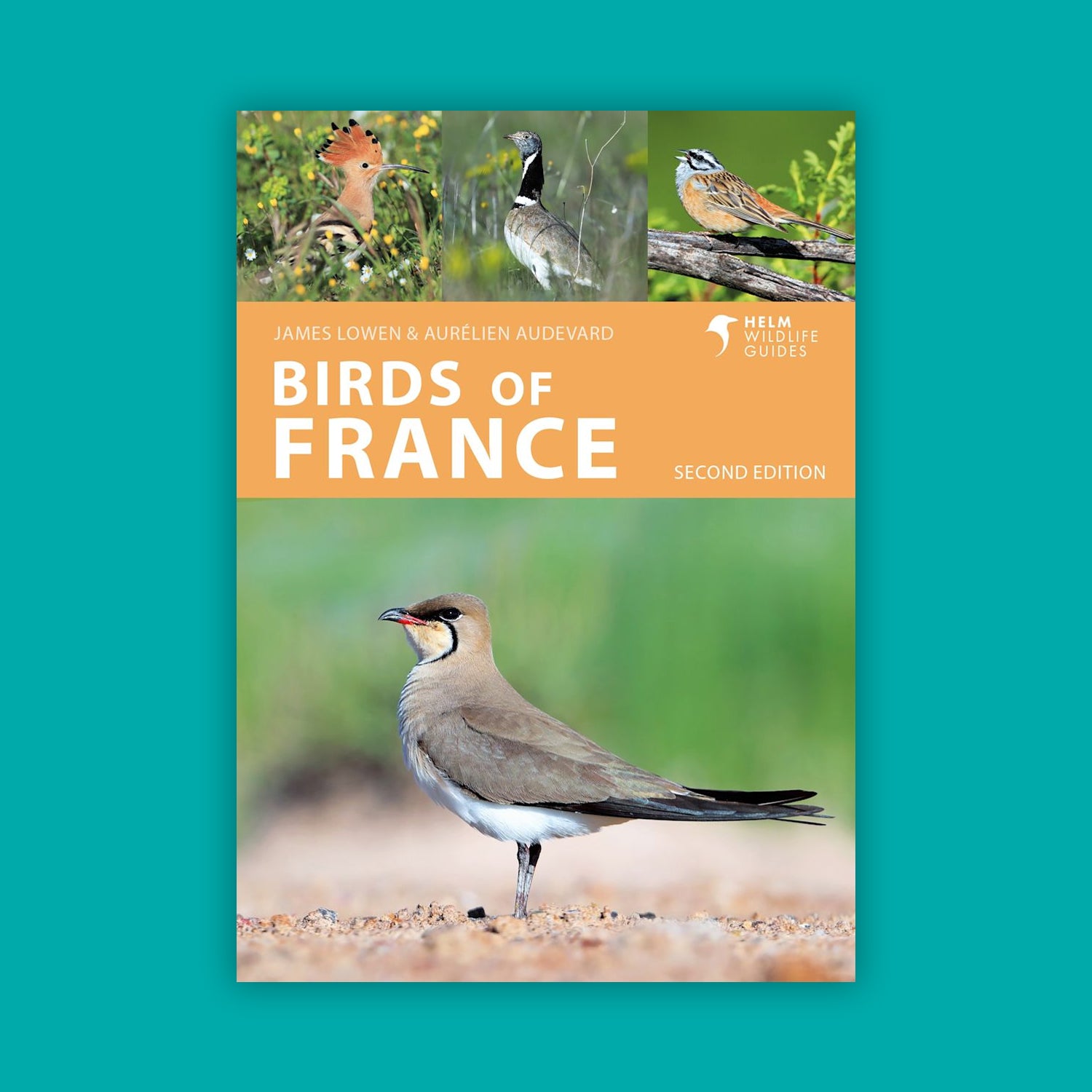 Birds of France (2nd Edition) - Helm Wildlife Guides