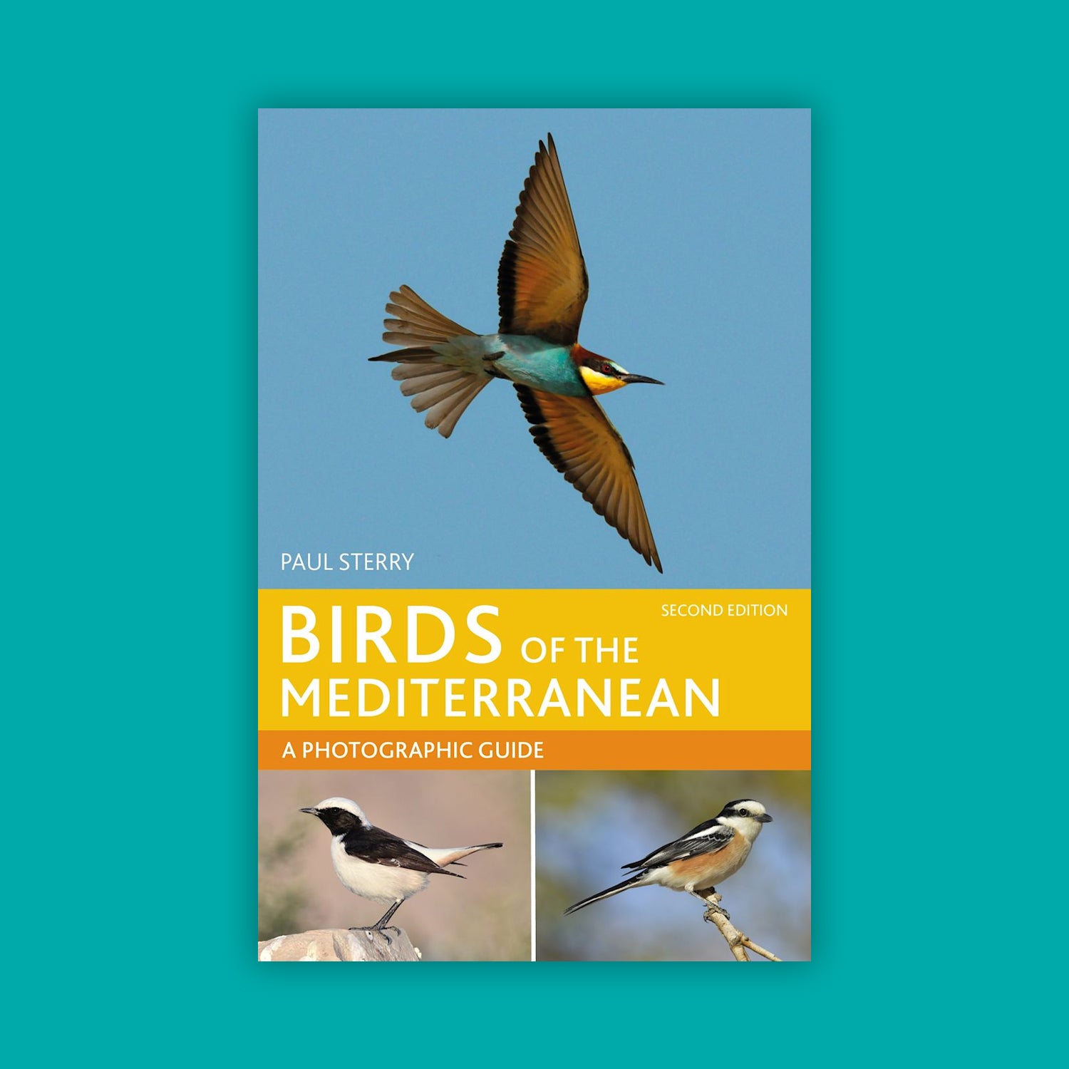 Birds of the Mediterranean: A Photographic Guide (2nd Edition) - Helm Wildlife Guides