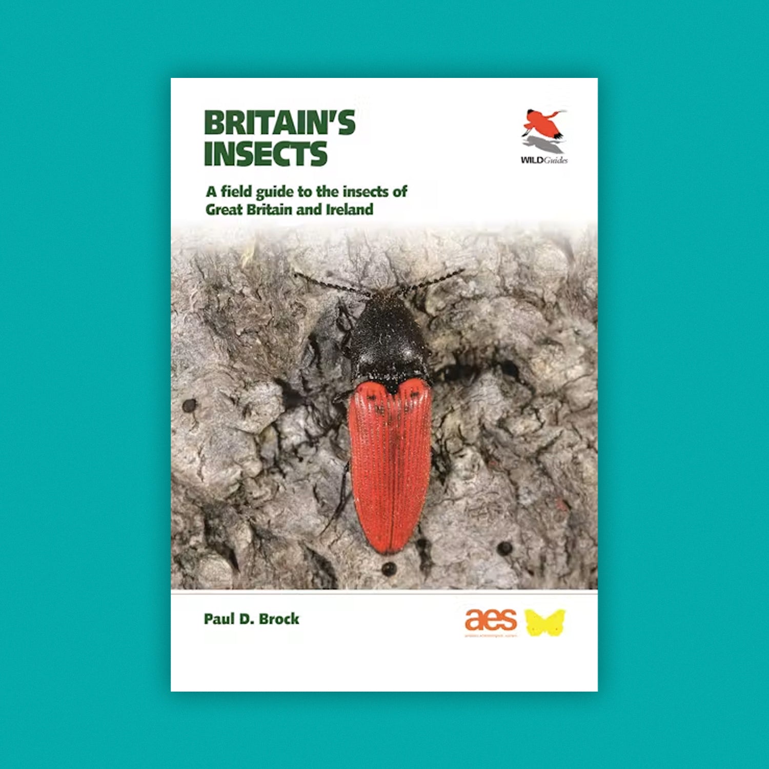 WildGuides: Britain's Insects: A Field Guide to the Insects of Great Britain and Ireland