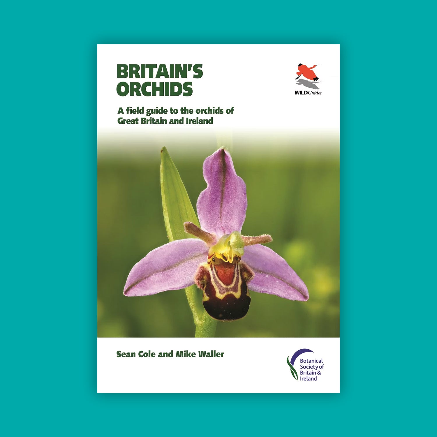 WildGuides: Britain's Orchids: A Field Guide to the Orchids of Great Britain and Ireland