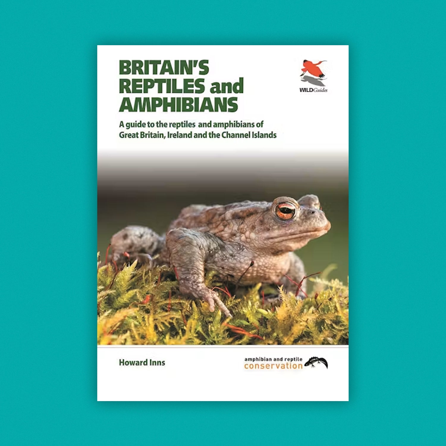 WildGuides: Britain's Reptiles and Amphibians: A guide to the reptiles and amphibians of Great Britain, Ireland and the Channel Islands