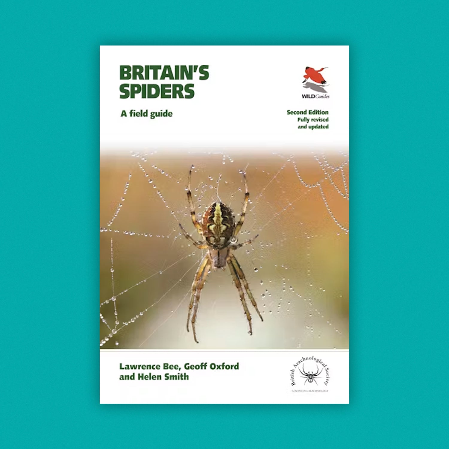 WildGuides: Britain's Spiders: A Field Guide – Fully Revised and Updated Second Edition