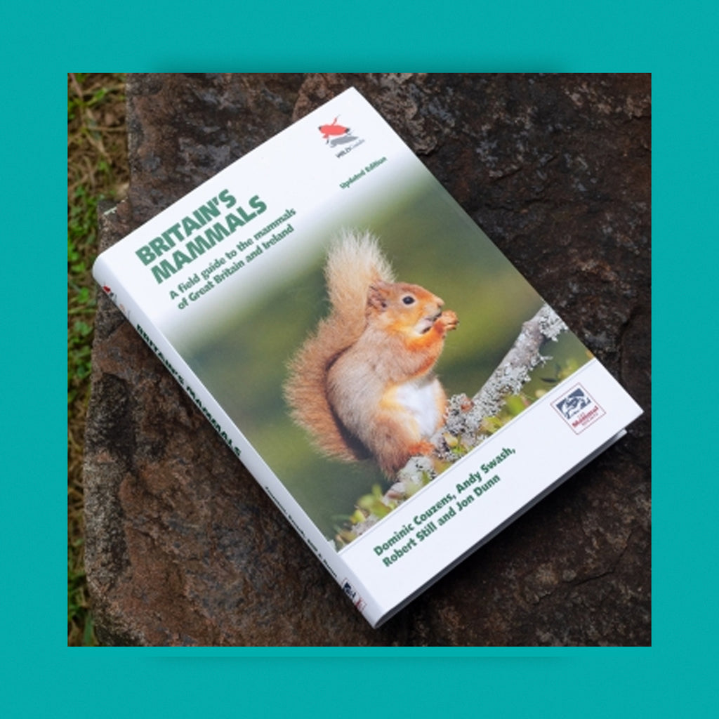 WildGuides: Britain's Mammals Updated Edition: A Field Guide to the Mammals of Great Britain and Ireland