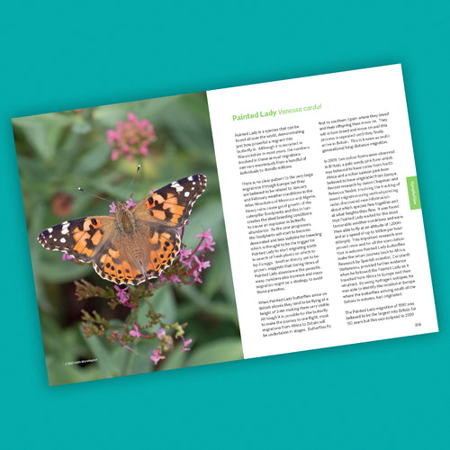 Butterfly Conservation: The Warwickshire Approach