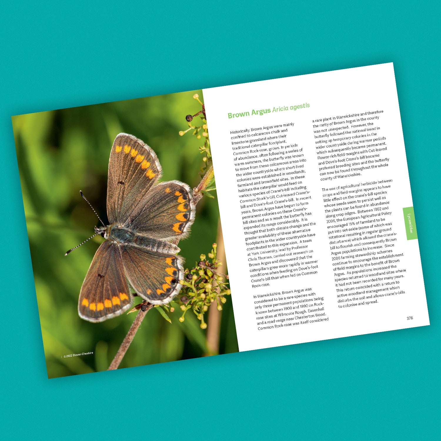Butterfly Conservation: The Warwickshire Approach