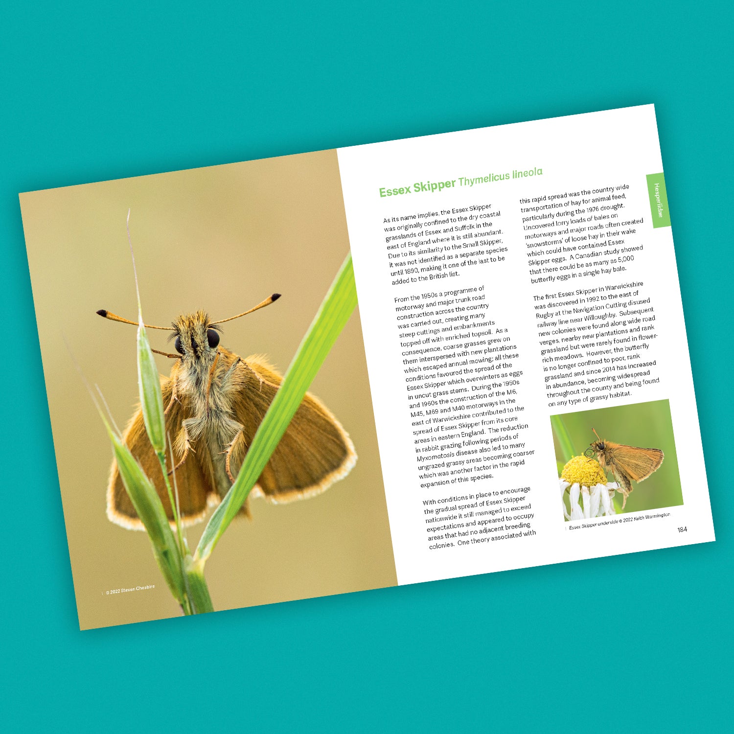 Butterfly Conservation: The Warwickshire Approach