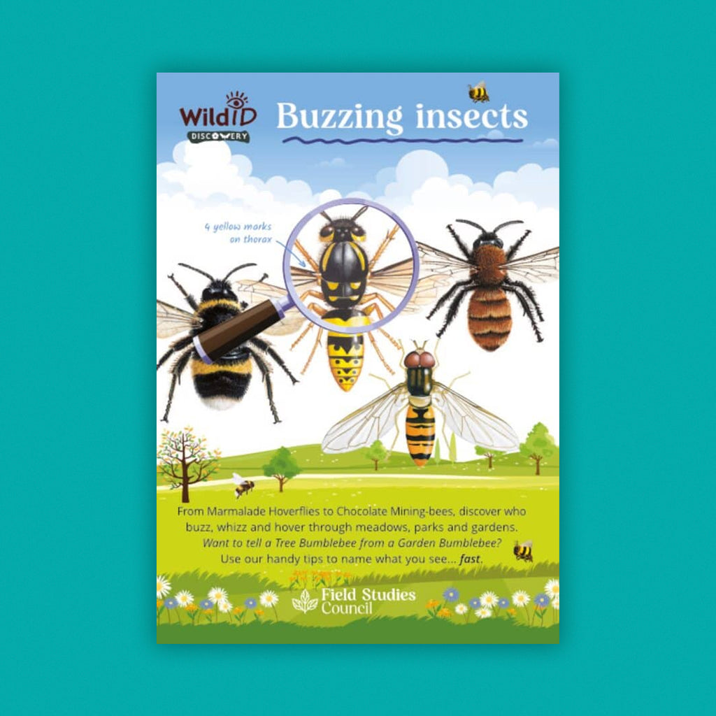 WildID Discovery Guides: Buzzing Insects (FSC) DG04