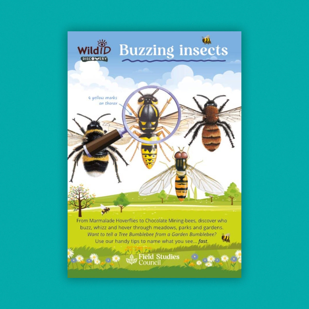 WildID Discovery Guides: Buzzing Insects (FSC) DG04