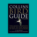 Collins Bird Guide (3rd Edition)