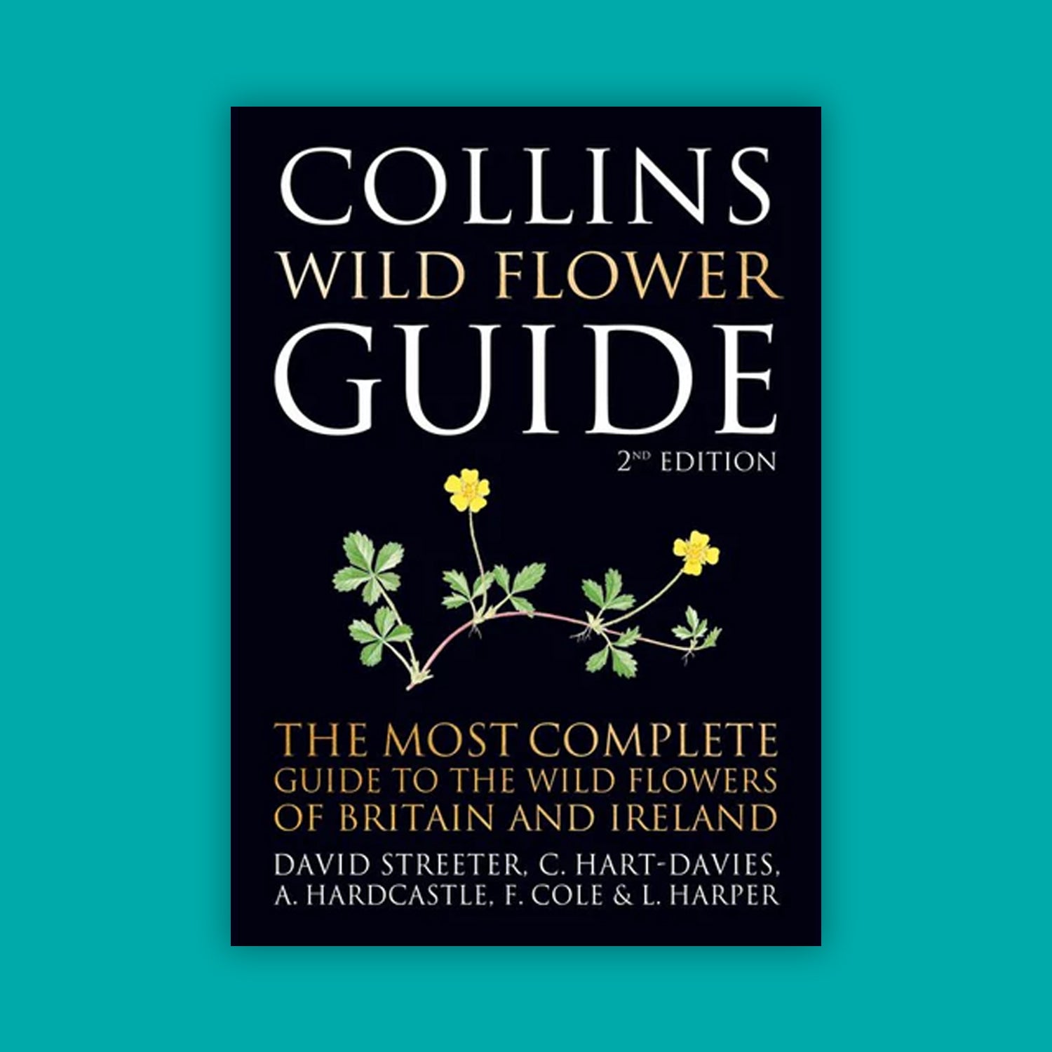 Collins Wild Flower Guide (3rd Edition)