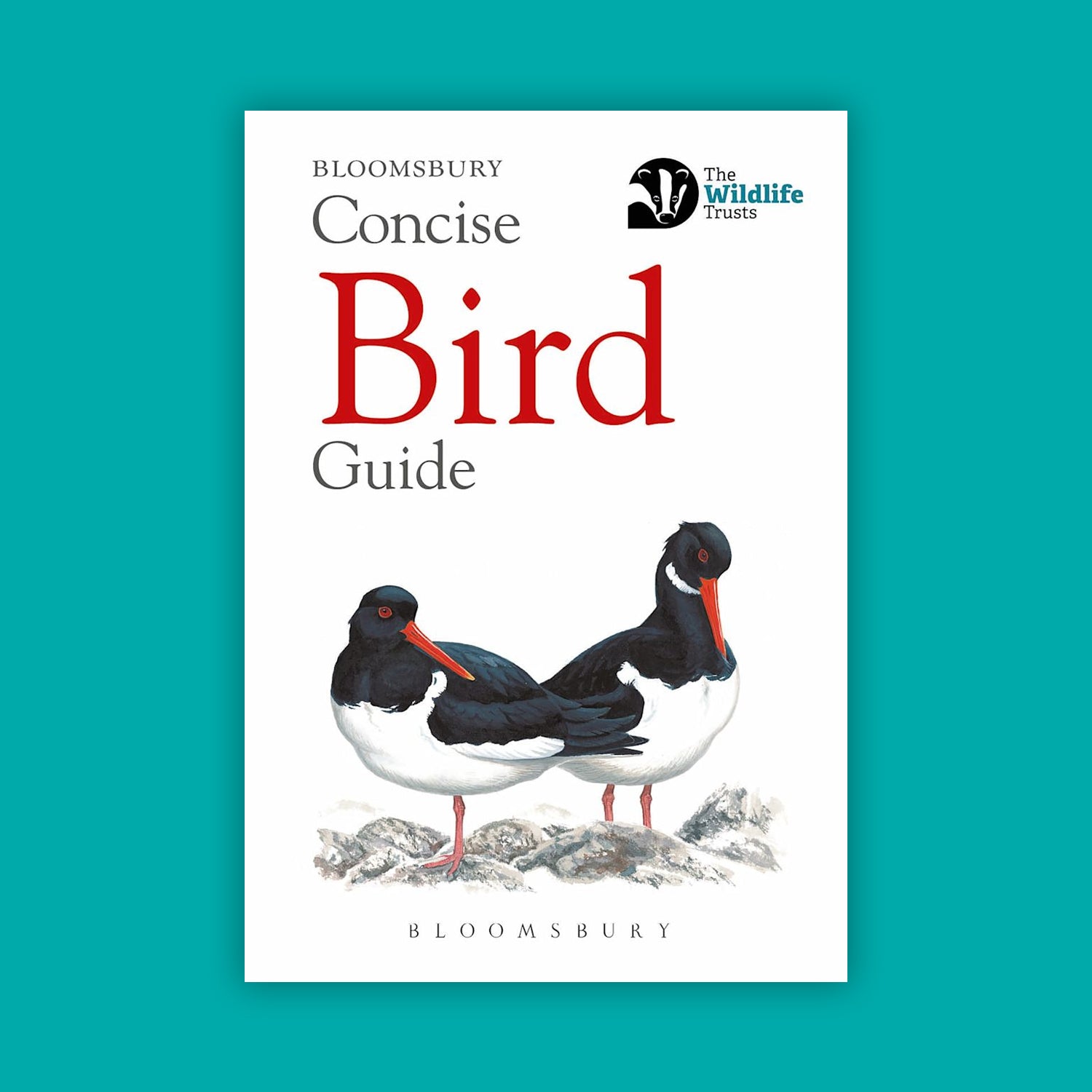 Concise Bird Guide