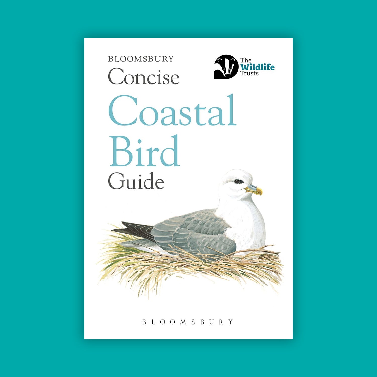 Concise Coastal Bird Guide