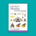 Concise Guide to the Moths of Great Britain and Ireland: Second edition