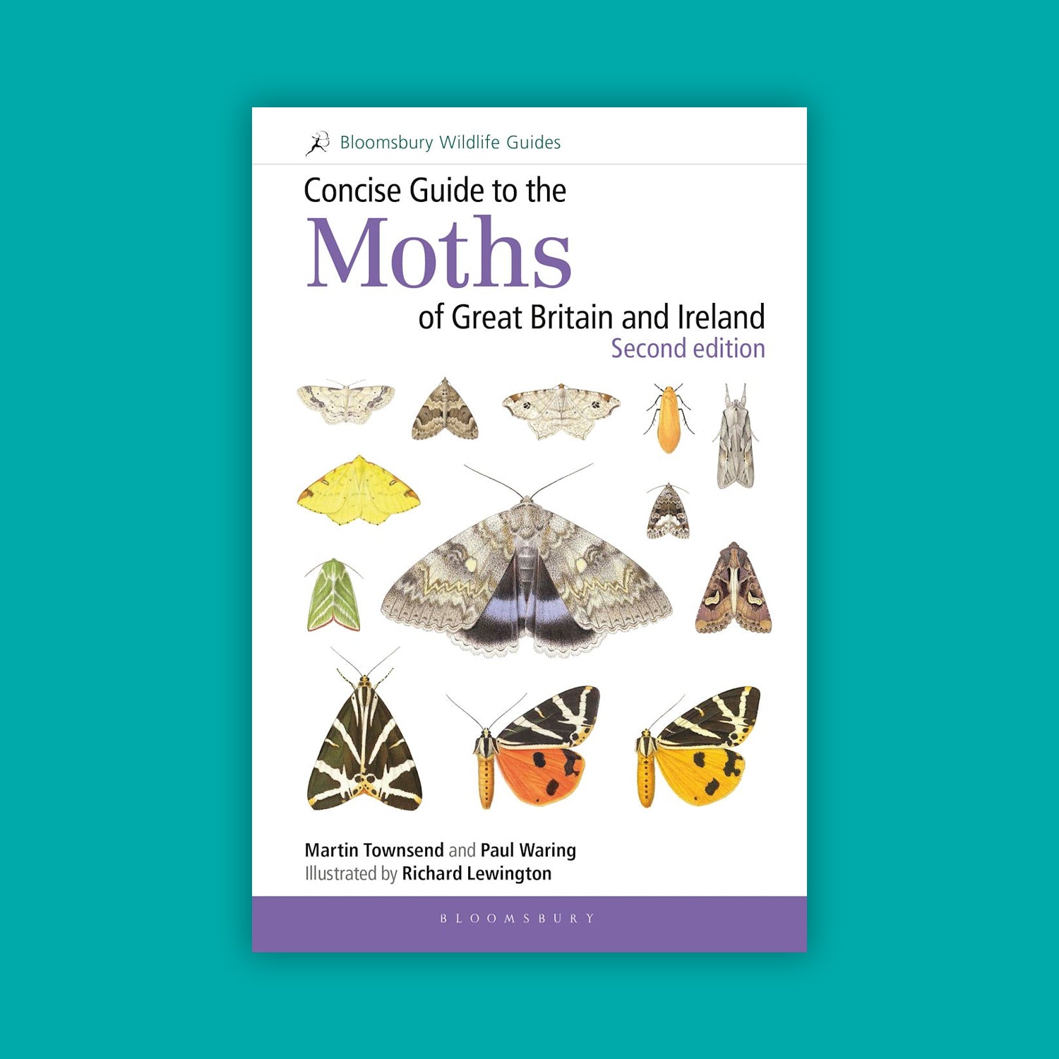 Concise Guide to the Moths of Great Britain and Ireland: Second edition