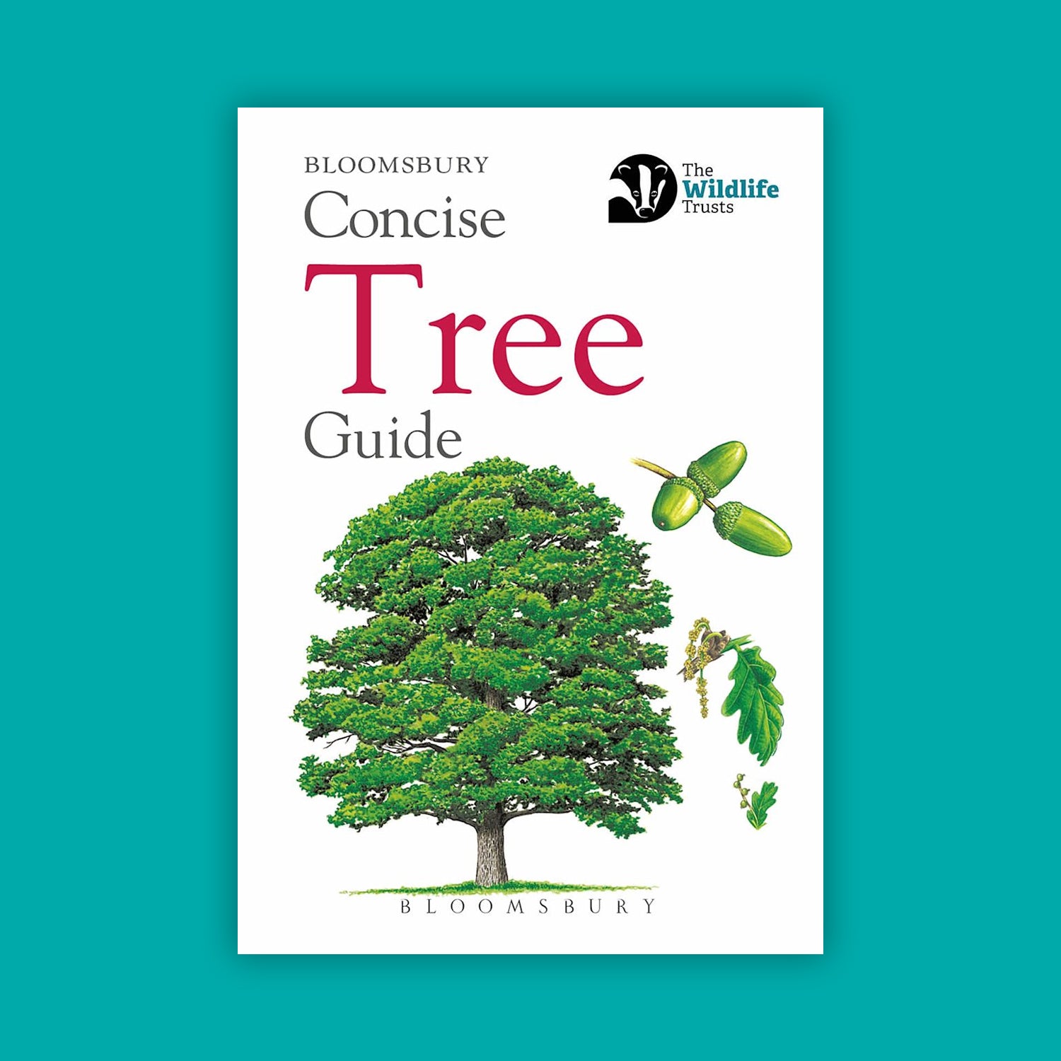 Concise Tree Guide