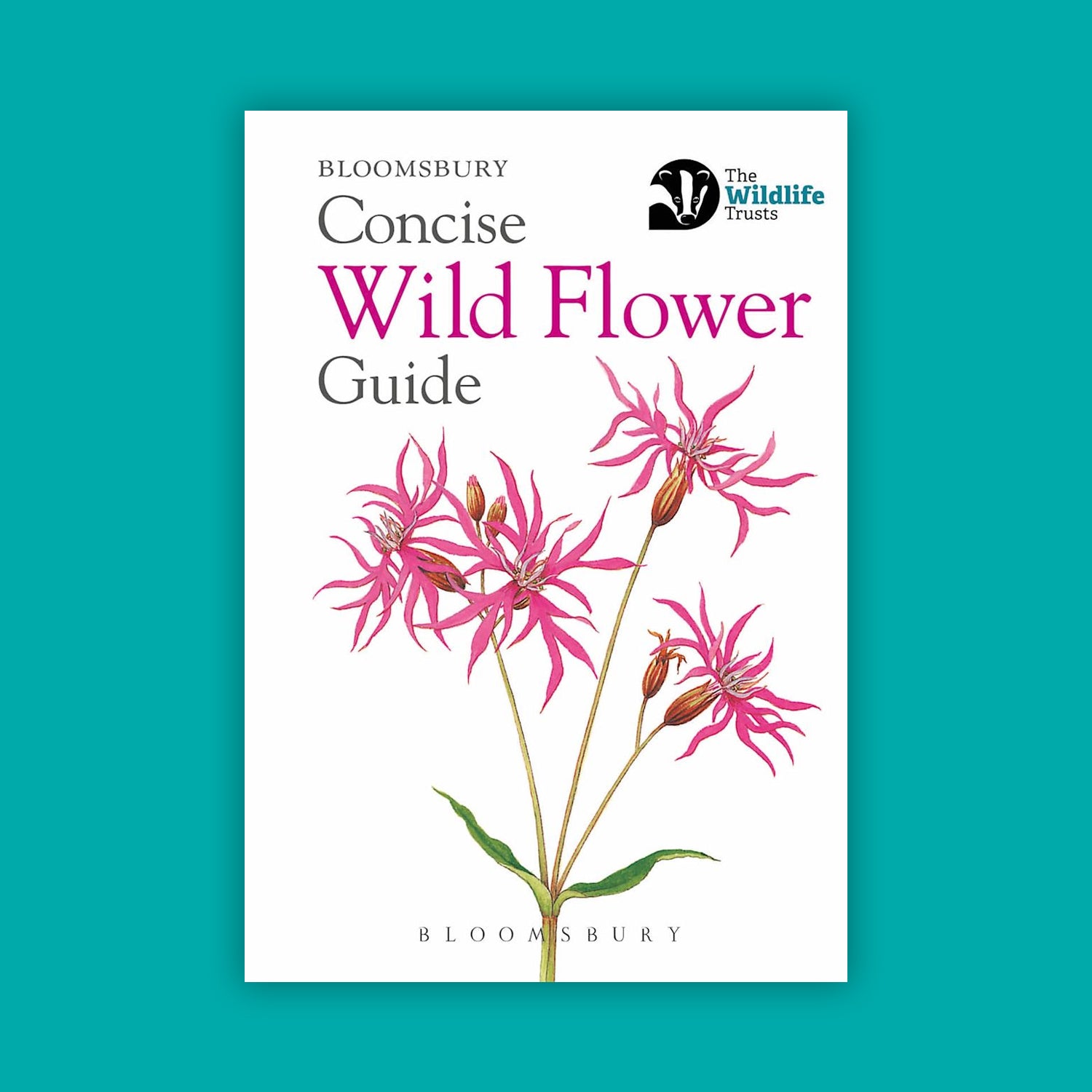 Concise Wild Flower Guide