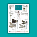 Dragonflies and Damselflies of Britain - FSC Guide