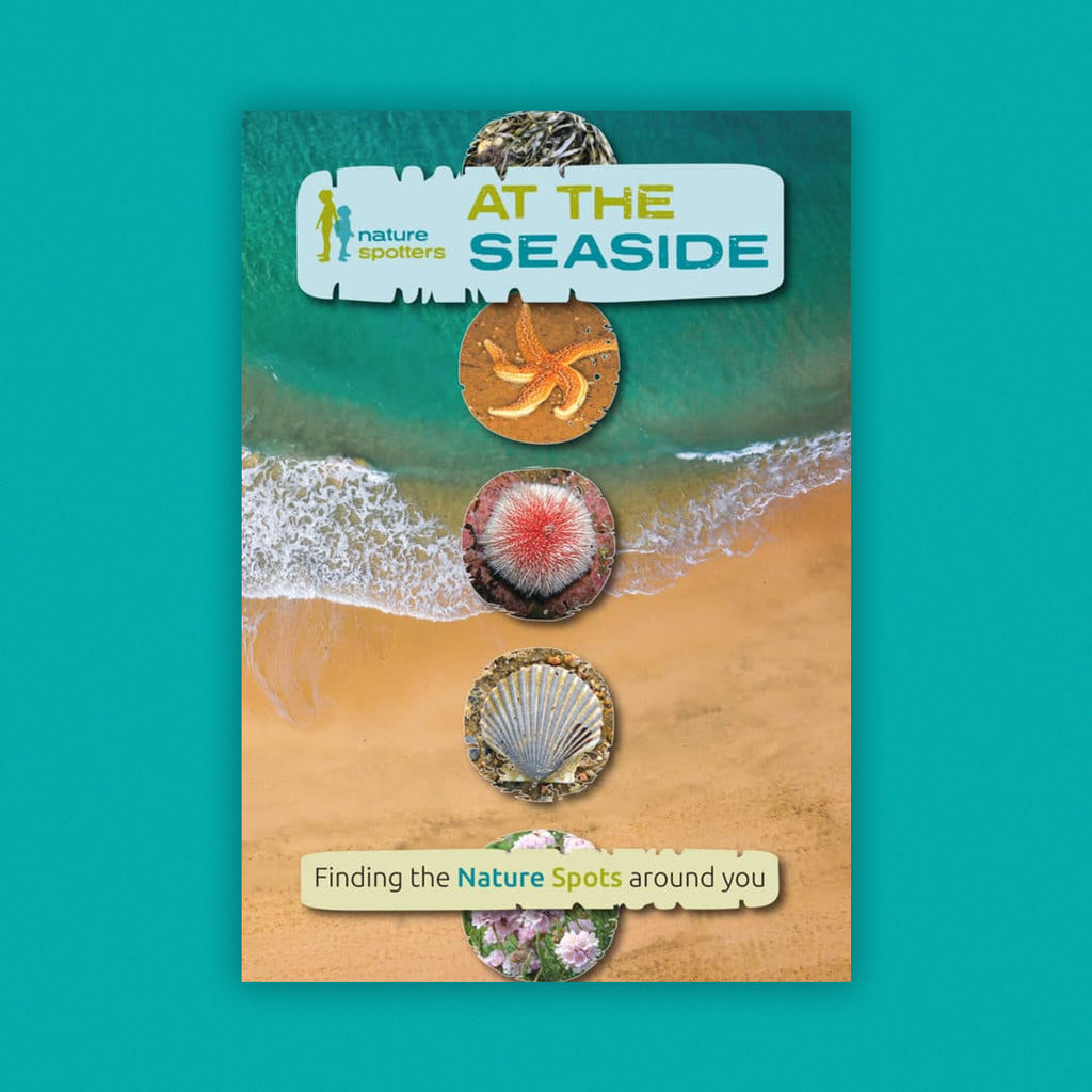Nature Spotters Guide: At The Seaside (FSC) NS04