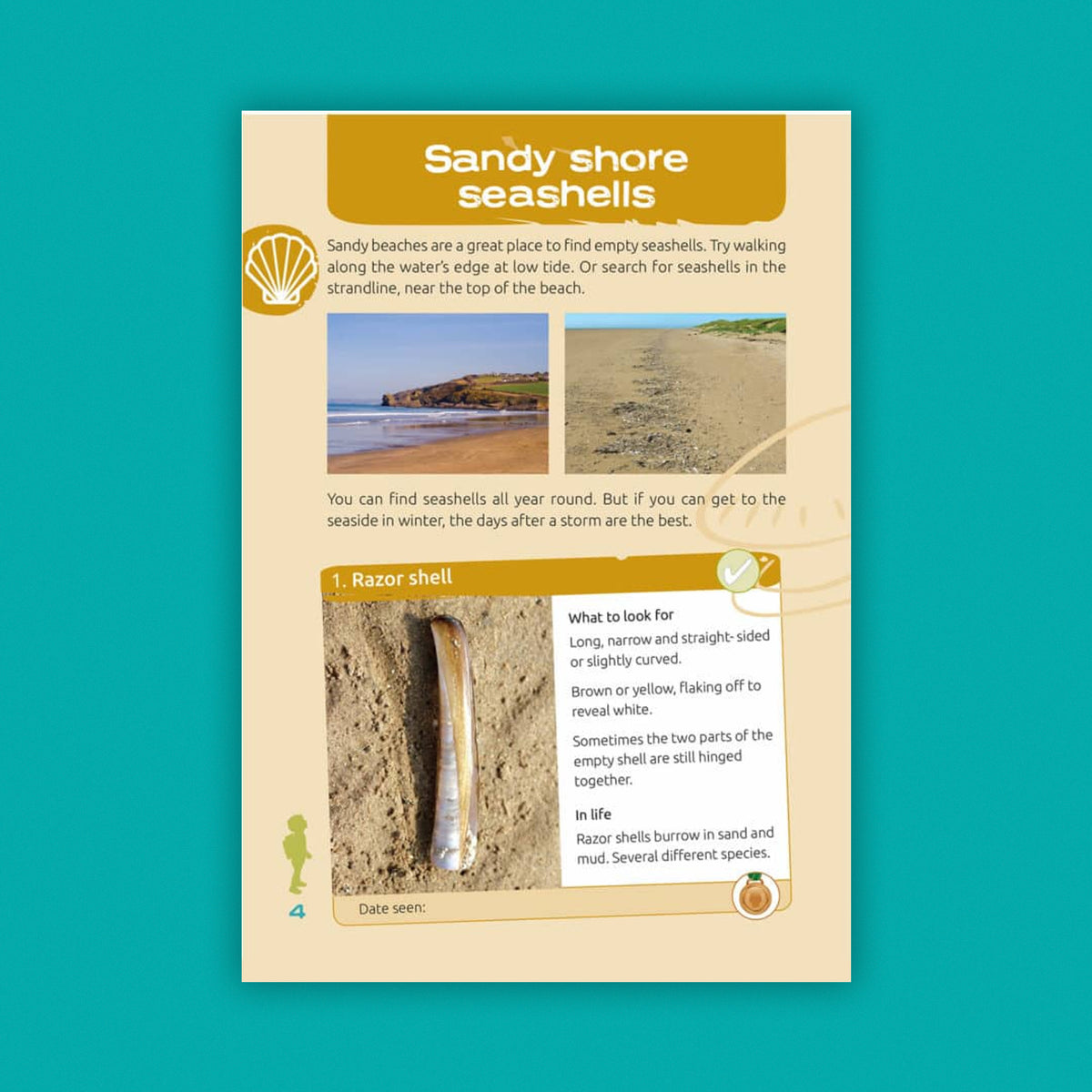 Nature Spotters Guide: At The Seaside (FSC) NS04