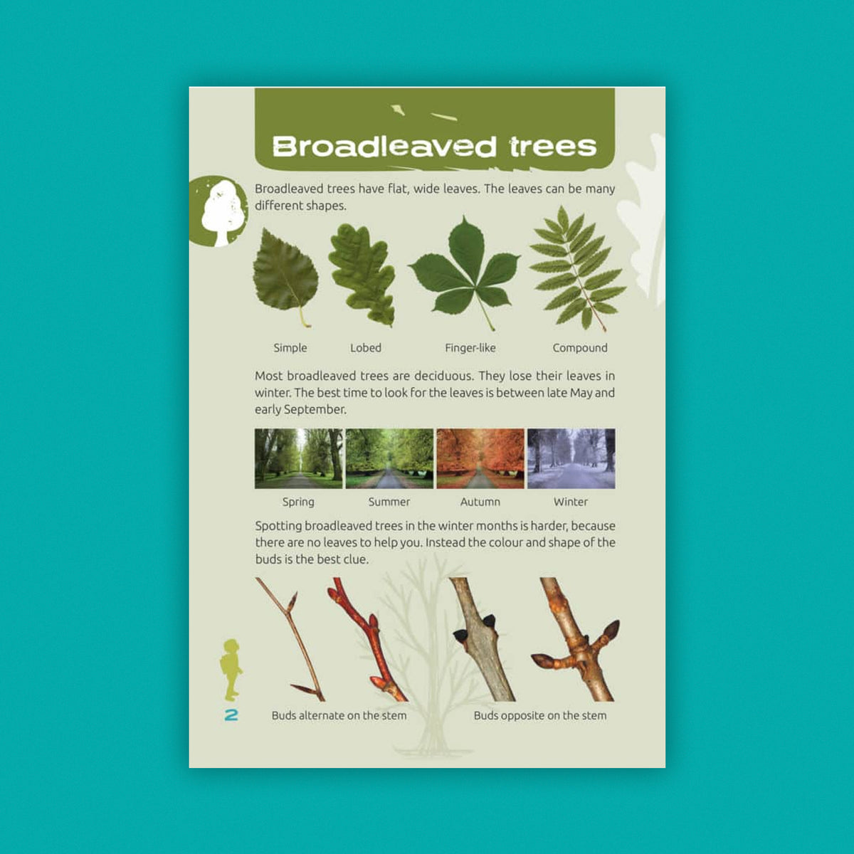 Nature Spotters Guide: In Trees And Woodland (FSC) NS03