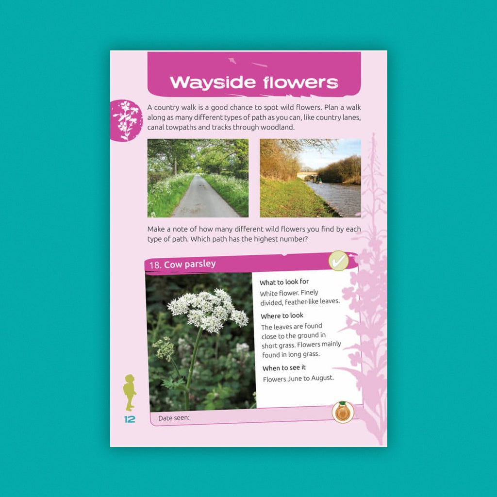 Nature Spotters Guide: In The Countryside (FSC) NS02