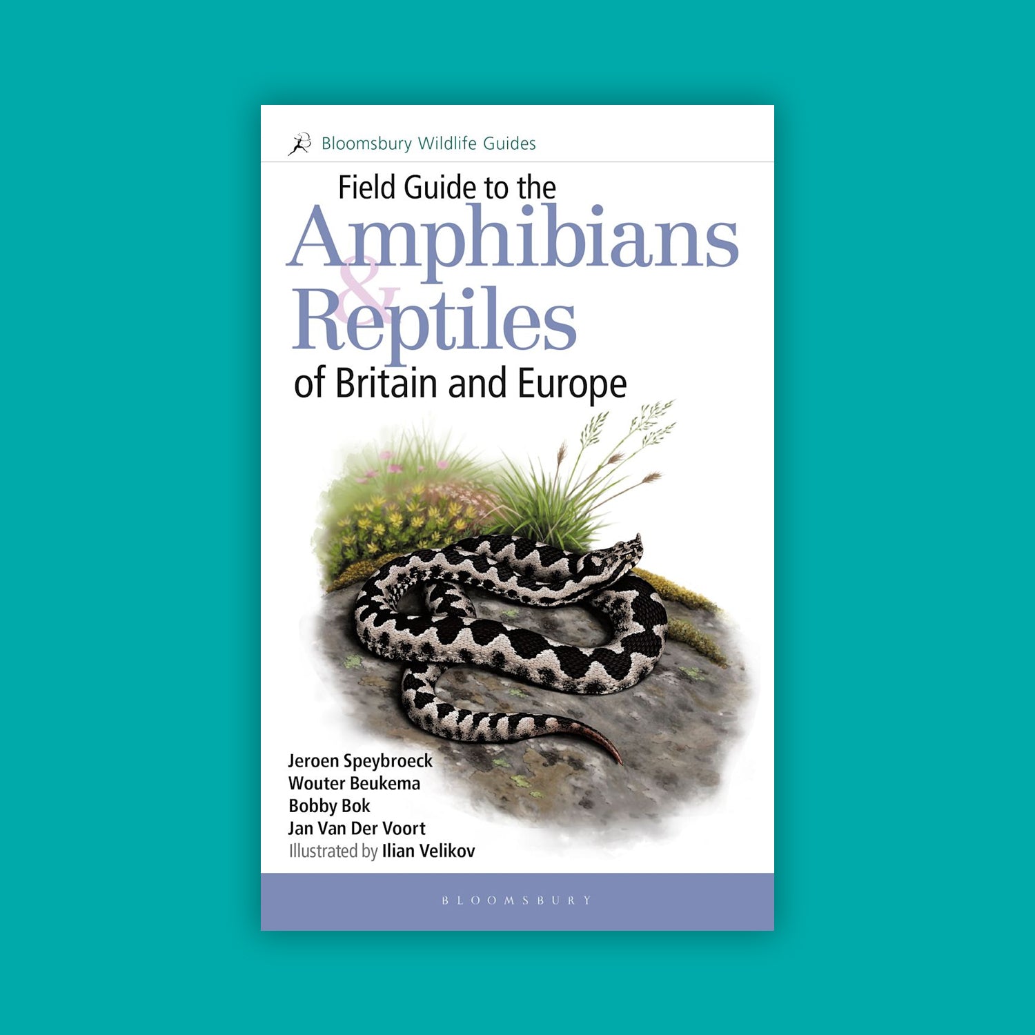Field Guide to the Amphibians and Reptiles of Britain and Europe (1st Edition)
