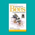 Field Guide to the Bees of Great Britain and Ireland (1st Edition)