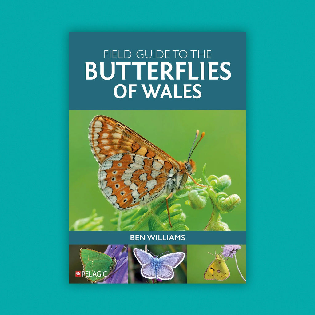 Field Guide to the Butterflies of Wales