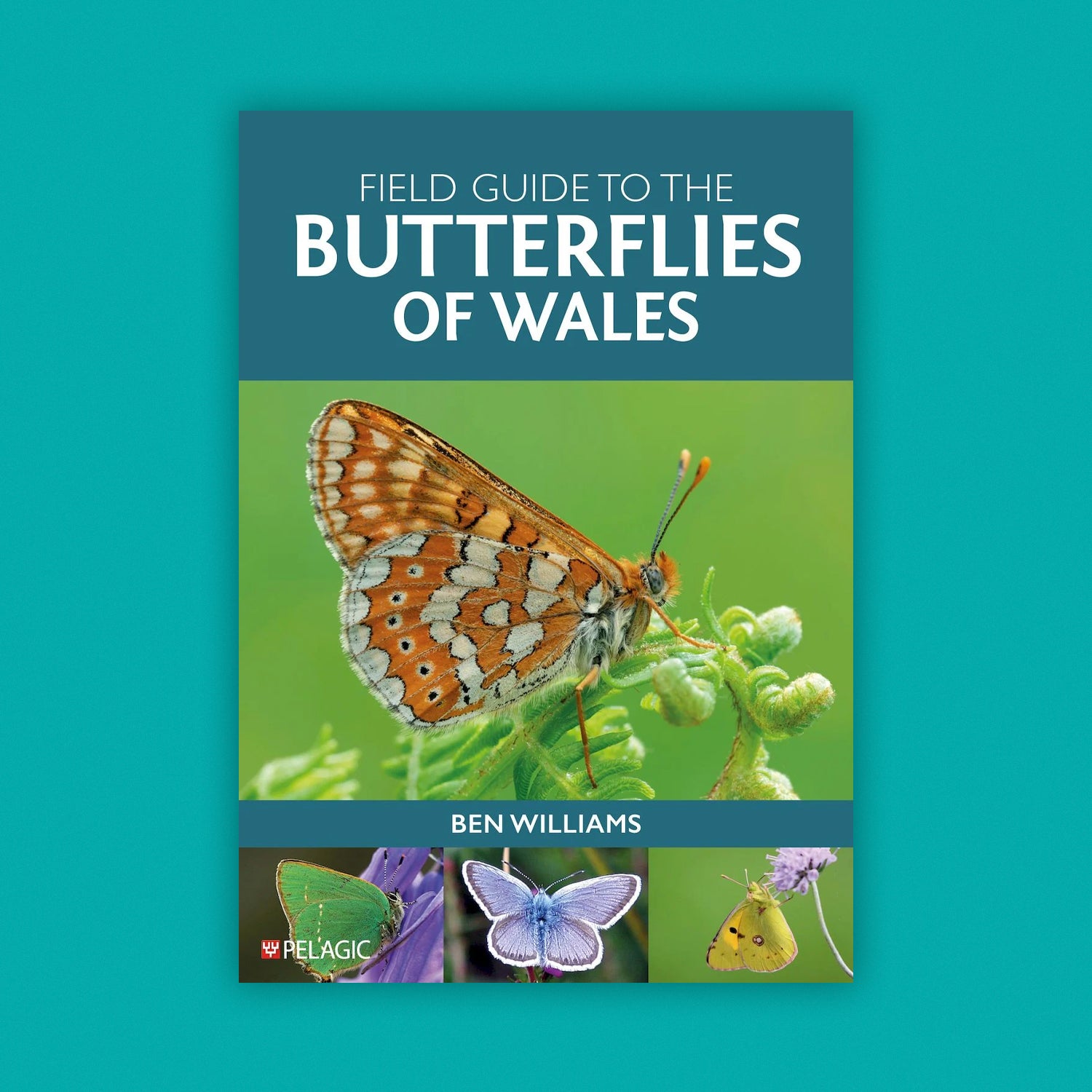 Field Guide to the Butterflies of Wales