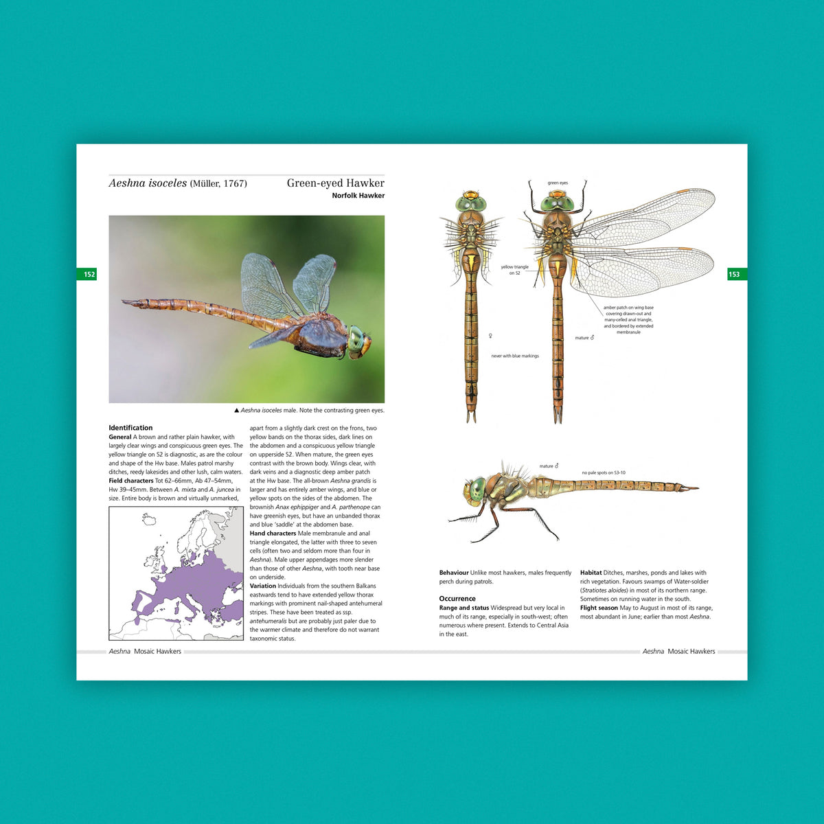 Field Guide to the Dragonflies of Britain and Europe (2nd Edition)