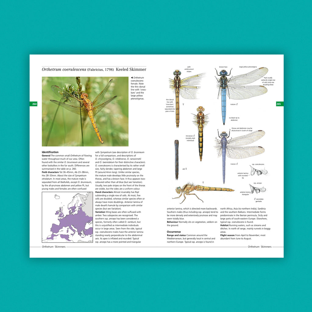 Field Guide to the Dragonflies of Britain and Europe (2nd Edition)