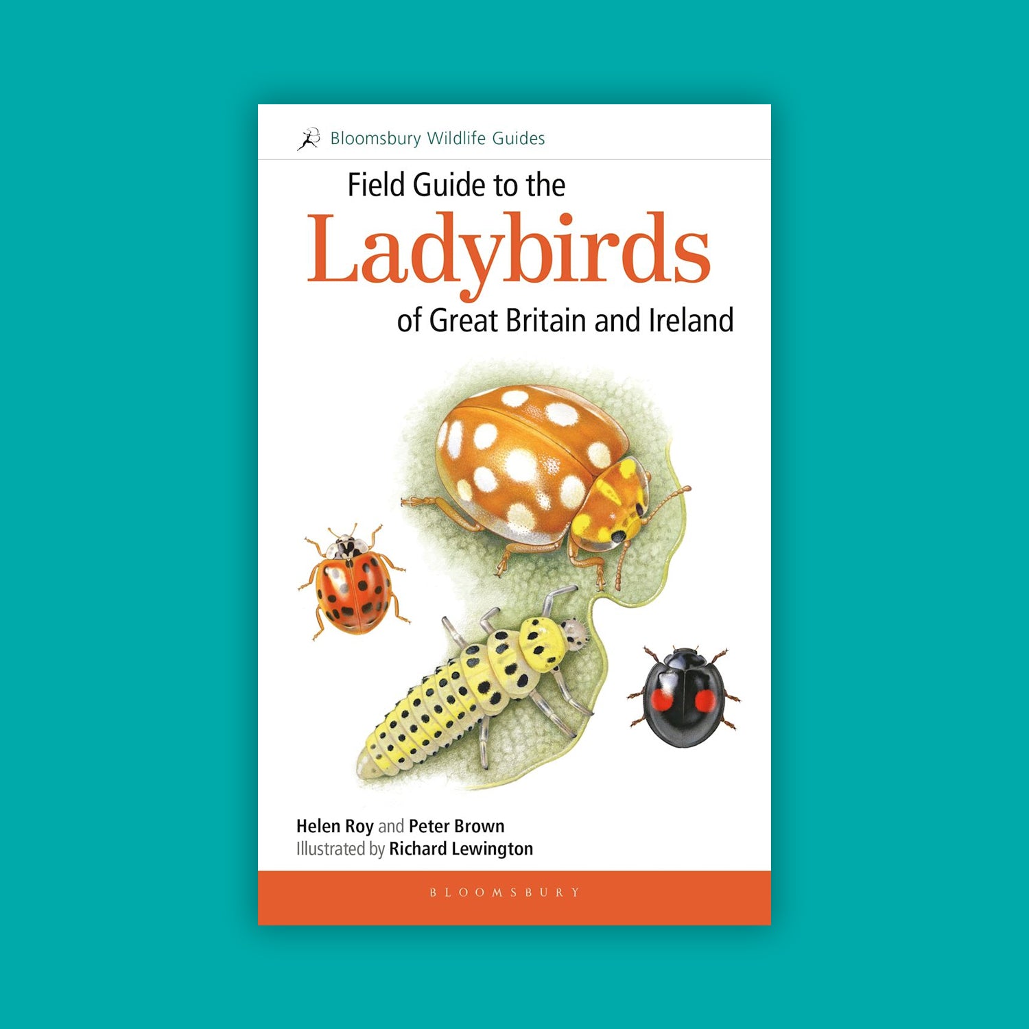 Field Guide to the Ladybirds of Great Britain and Ireland (1st Edition)