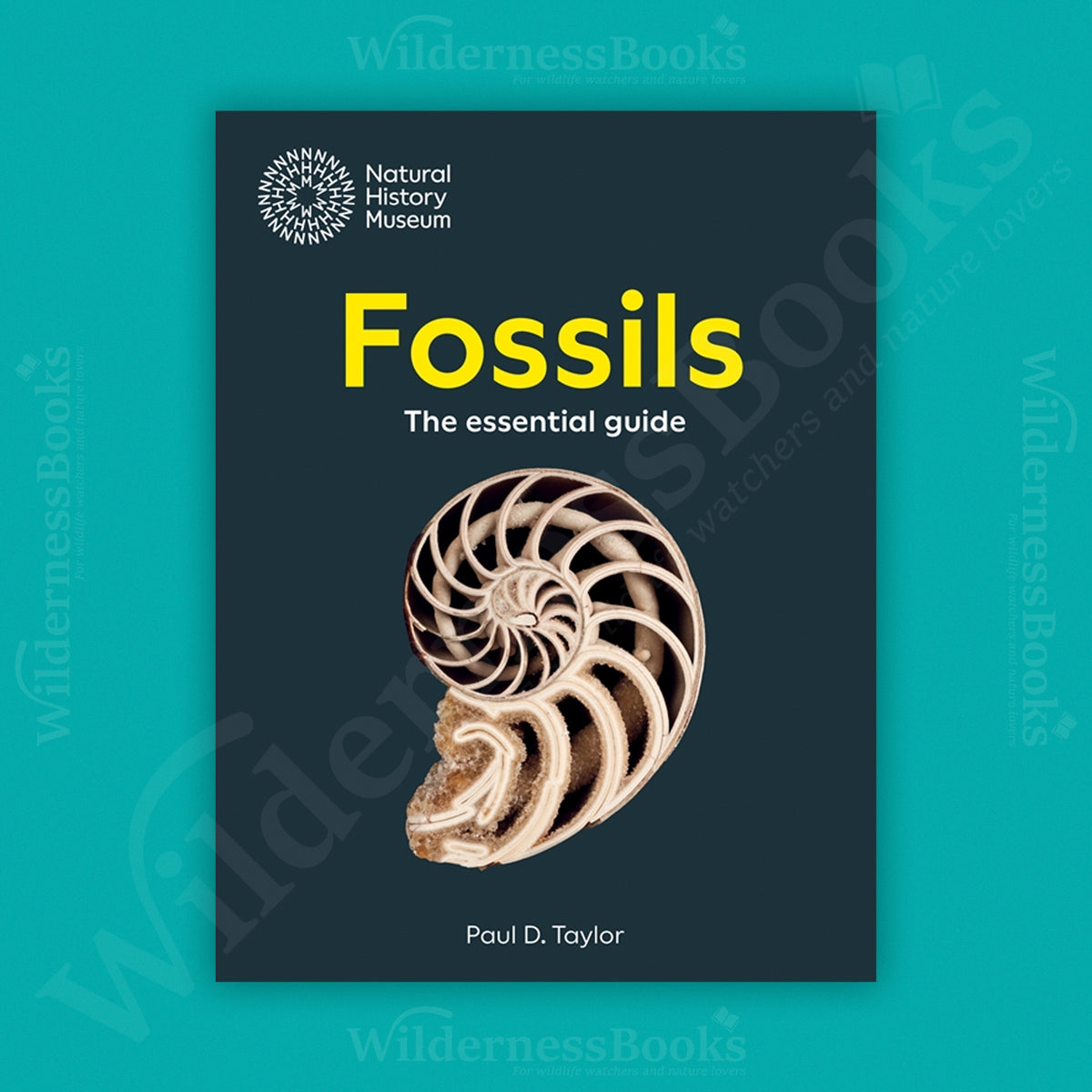 Fossils: The Essential Guide