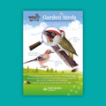 WildID Discovery Guides: Garden Birds (FSC) DG01