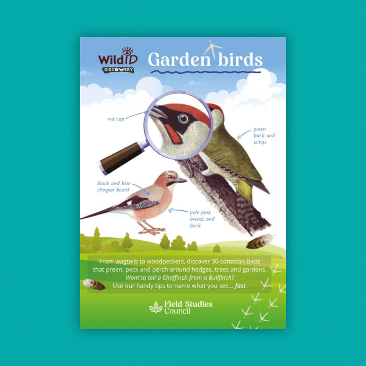 WildID Discovery Guides: Garden Birds (FSC) DG01