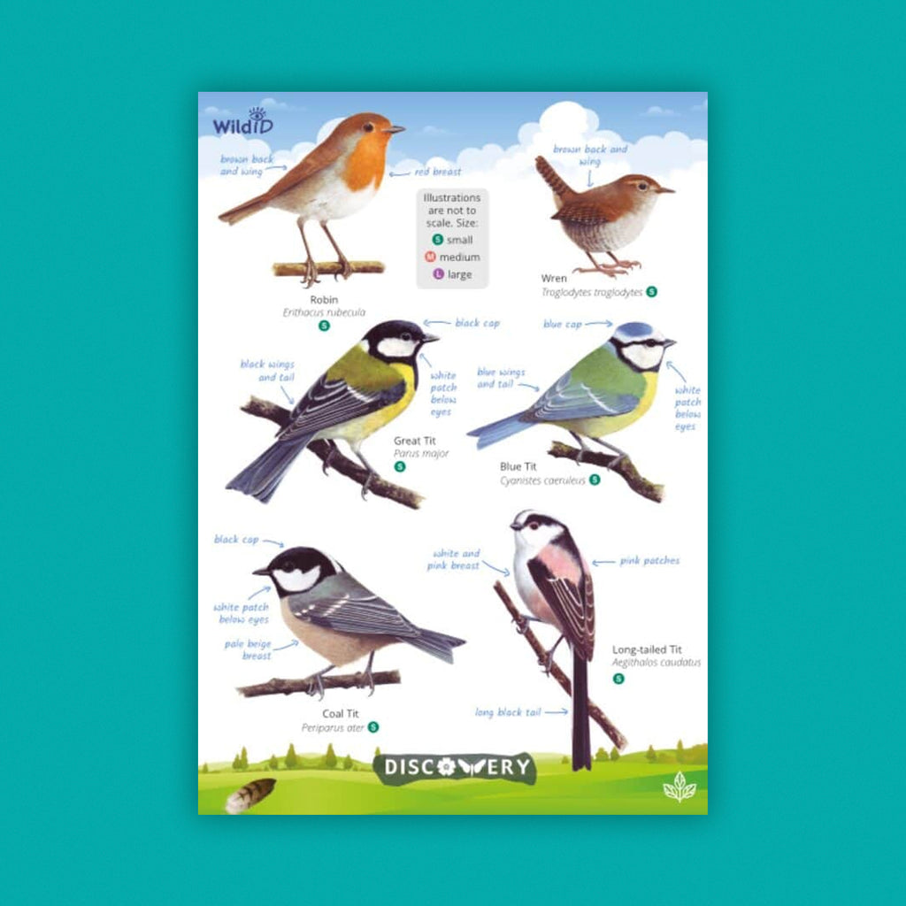WildID Discovery Guides: Garden Birds (FSC) DG01