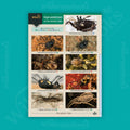 Harvestmen of the British Isles WildID guide (OP198)