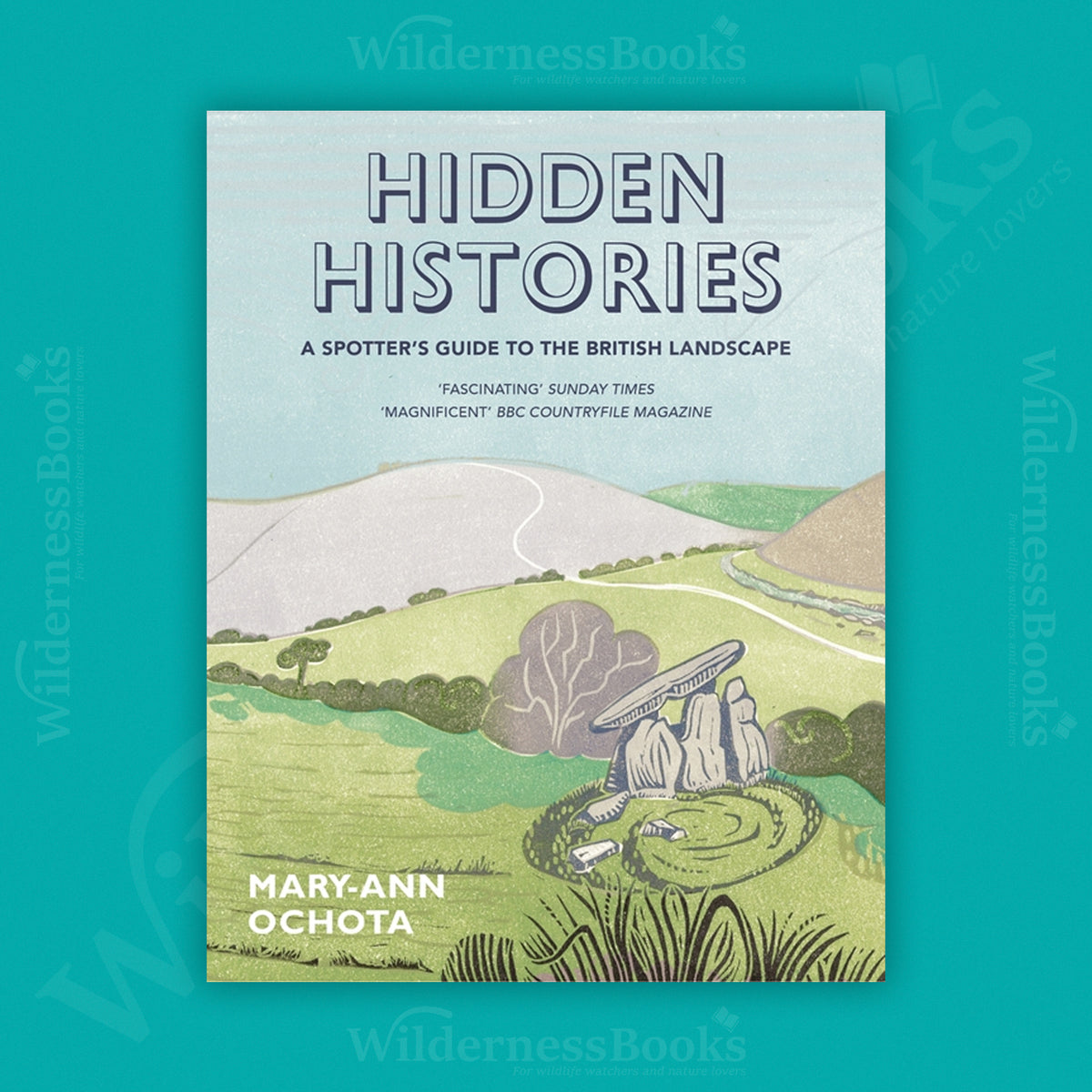 Hidden Histories: A Spotter's Guide to the British Landscape