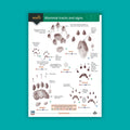 Mammal Tracks and Signs WildID guide
