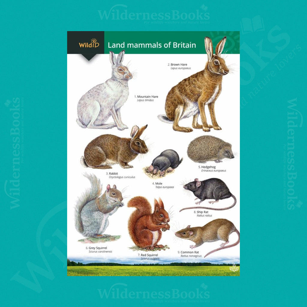 Land Mammals of Britain WildID guide (OP149)
