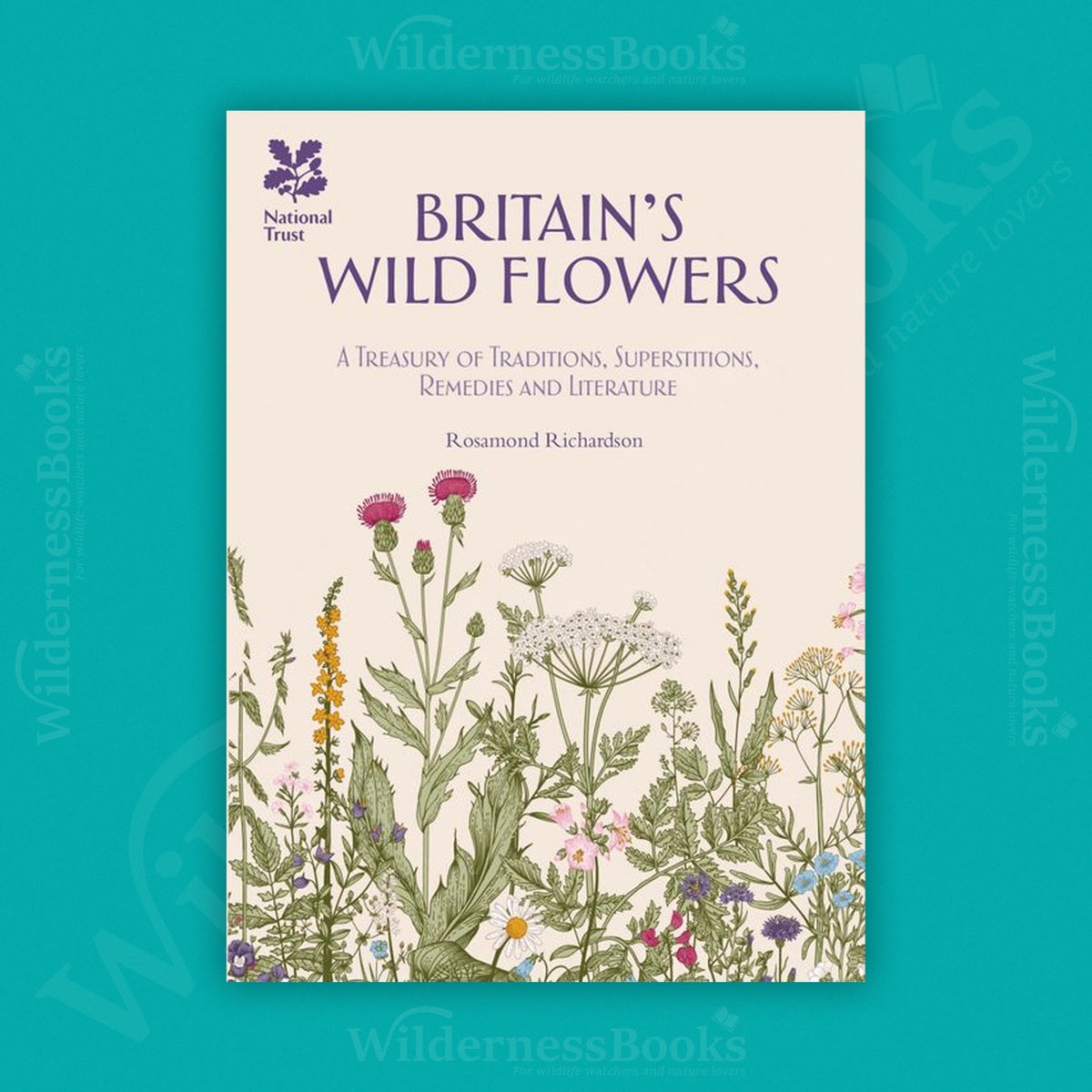 Britain's Wild Flowers: A Treasury of Traditions, Superstitions, Remedies and Literature